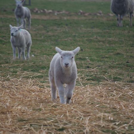 Woodhouse Farm Lodge Spalding Eksteriør bilde